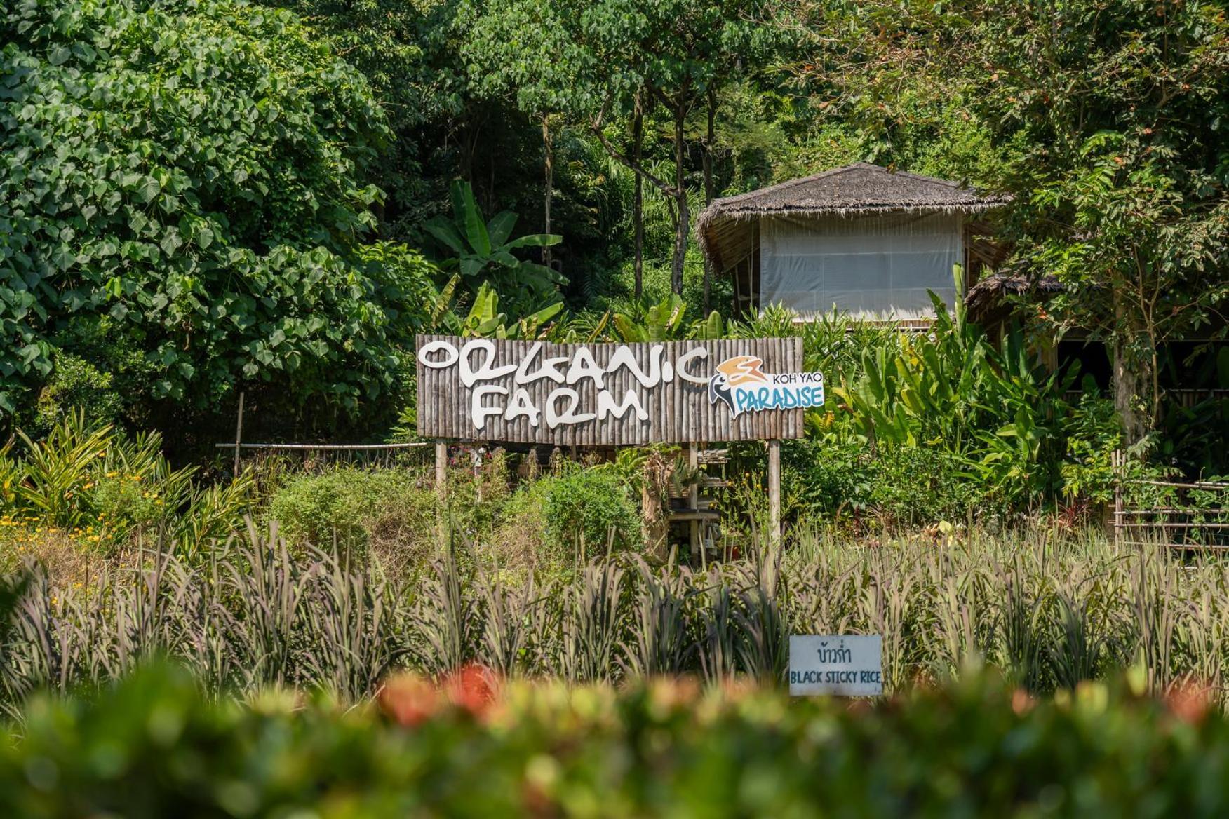 Paradise Kohyao (Adults Only) Ko Yao Noi Luaran gambar